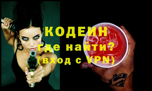сатива Кулебаки