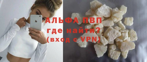 СК Алексин