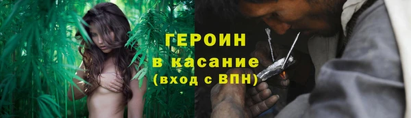 сатива Кулебаки