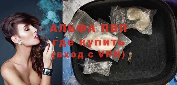 СК Алексин